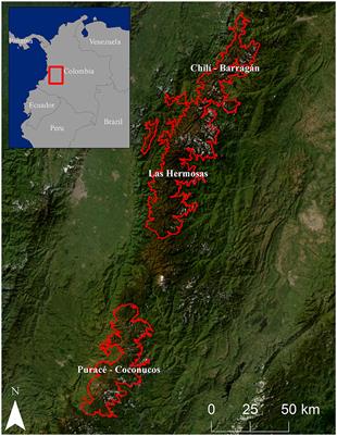 Using remote sensing to map degraded mountain peatlands with high climate mitigation potential in Colombia's Central Cordillera